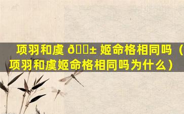 项羽和虞 🐱 姬命格相同吗（项羽和虞姬命格相同吗为什么）